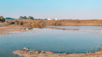 Landschaft mit Wasser und Getreide, im Hintergrund Getreidesilos (Bild: Makaty 445246162 AdobeStock)