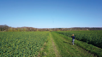 Gute Aussichten: Auf dem bisher landwirtschaftlich genutzten Gelände am Südrand von Erftstadt-Liblar könnte der geplante Campus Rhein-Erft entstehen  (Bild: Anke Ehlert)