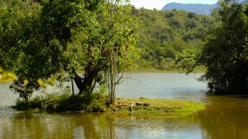 Mata Atlantica (Bild: Rodrigo Bogea)