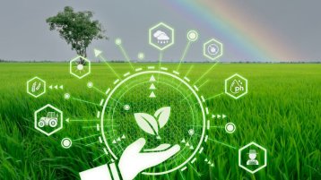 Smart Agriculture with modern technoloy concept (Bild: AdobeStock_531695039)