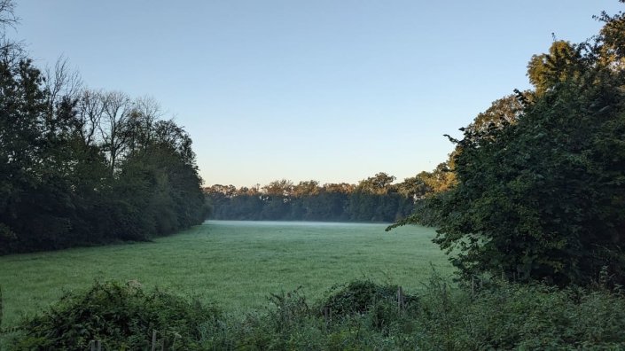 Parrig - Waldstück zwischen Horrem und Kerpen