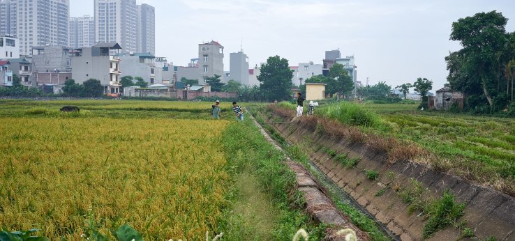 Vietnam Field Work (Image: Günther Straub)