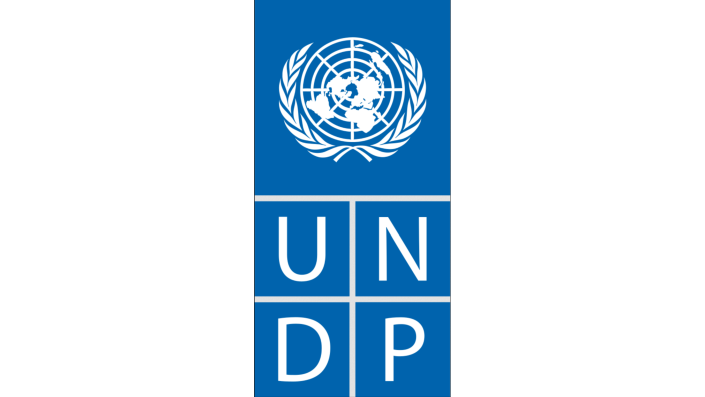 Logo des UNDP
