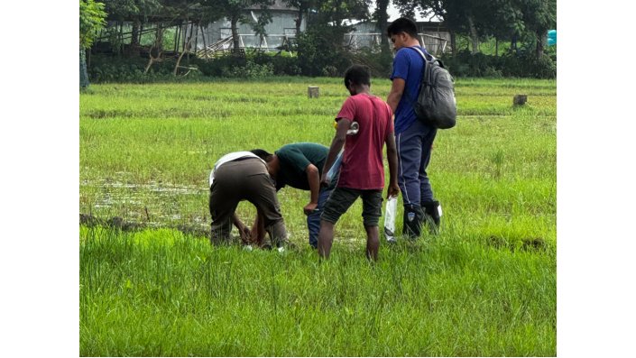 Salinity level measurements in a saline coastal area in the south