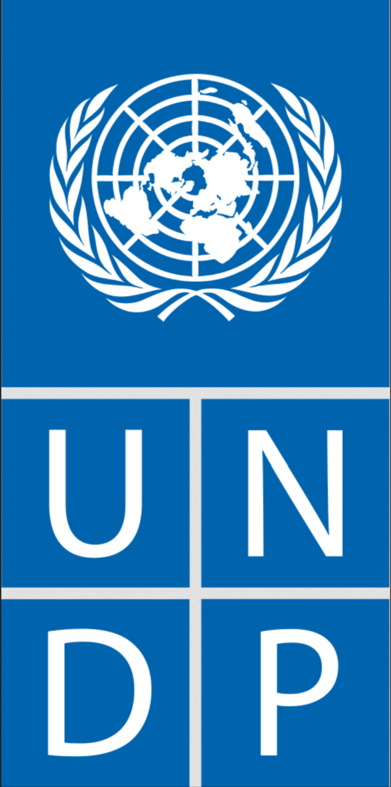 UNDP-Logo
