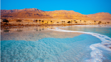 Dead Sea seashore with palm trees and mountains on background (Bild: vvvita-117540826-AdobeStock)