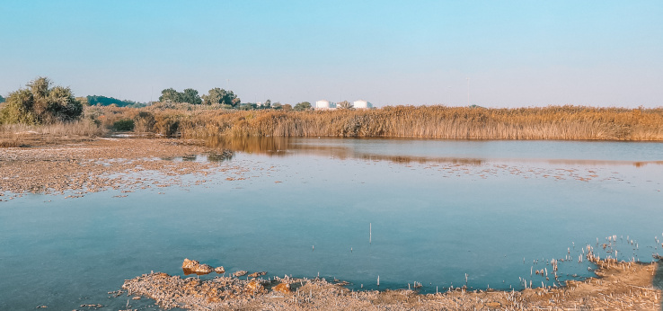 Landschaft mit Wasser und Getreide, im Hintergrund Getreidesilos (Bild: Makaty 445246162 AdobeStock)