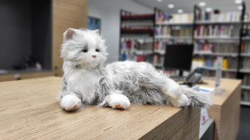 Roboterkatze zum Stressabbau