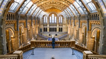 Innenansicht Natural History Museum London (Bild: iStock.com/fazon1) Innenansicht Natural History Museum London (Bild: iStock.com/fazon1)