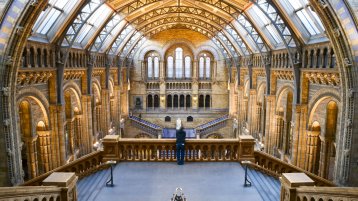 Innenansicht Natural History Museum London (Bild: iStock.com/fazon1)