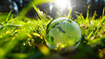 Grüne Blätter (Bild: Adobe Stock)