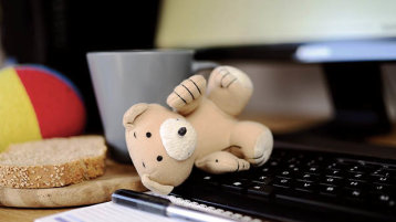 Teddy vor Tastatur (Bild: pixabay)