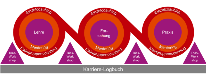 Schaubild zum Ablauf des Programm Karriere hoch 3 Schaubild zum Ablauf des Programm Karriere hoch 3
