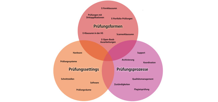 Schnittstellen Expertisezirkel E-Assessment (Bild: ZLE)