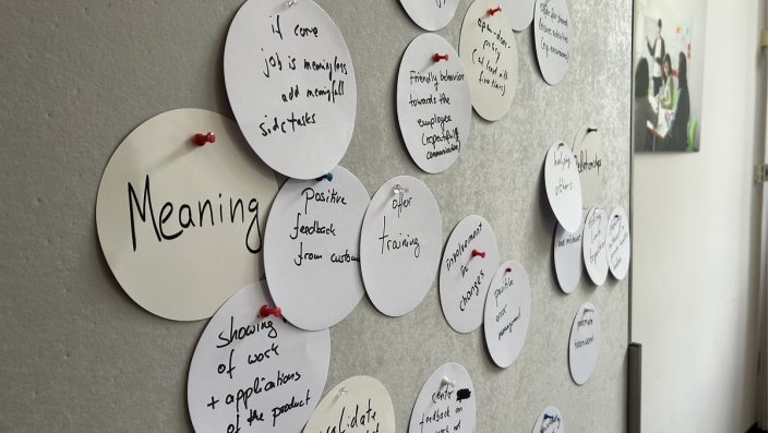 Moderationskarten, die an eine Metaplanwand gepinnt wurden