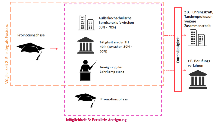 Flussdiagramm zu neuen Wegen zur Professur