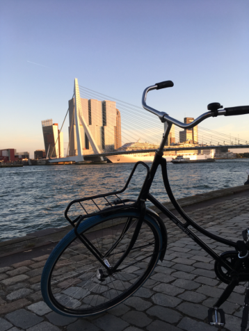 Ein Fahrrad vor der Maas und im Hintergrund die Erasmusbrücke