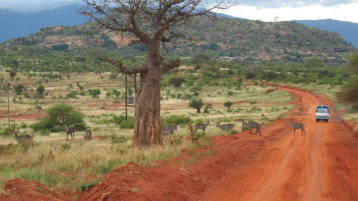Typische Landstraßen in Kenia, hier im TSAVO East National Park Typische Landstraßen in Kenia, hier im TSAVO East National Park