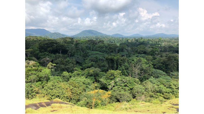 Blick über den Dschungel, südlich von Ebolowa