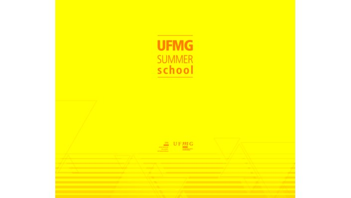 UFMG Summer School