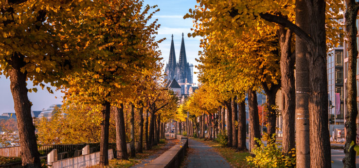 Man sieht eine Allee in Herbstfarben und am Ende der Allee sieht man den Kölner Dom hervorblitzen.  (Image: Adobe Stock / Lars Junker)