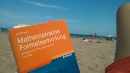 Büffeln am Strand (Bild: Michael Schael) Büffeln am Strand (Bild: Michael Schael)