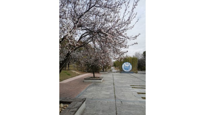 Campusgelände in Jia Ding im Frühling, Shanghai