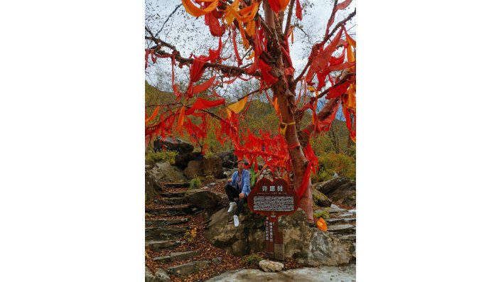 Wunschbaum im Naturpark in Songpan, Aba, Sichuan Provinz (Ort, Stadt, Provinz) 
