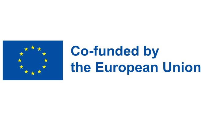 PIONEER Logo Co-Funded by EU