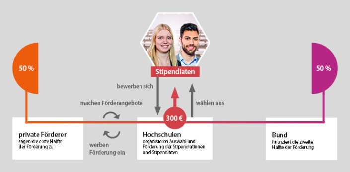 Infografik Stipendiaten 2023 Infografik Stipendiaten 2023