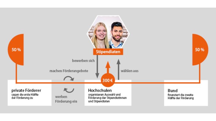 Infografik Fördern