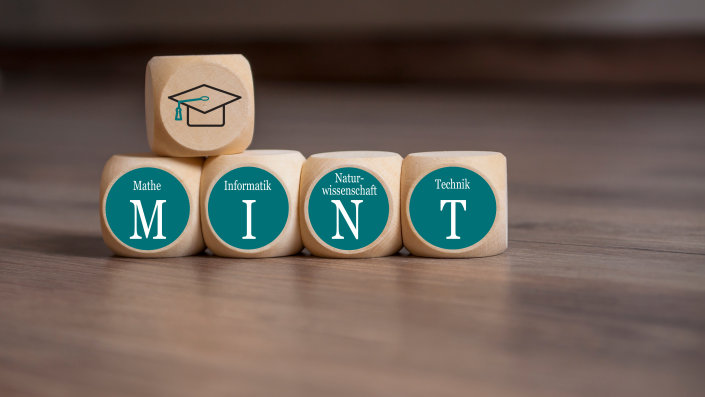 Würfel_MINT