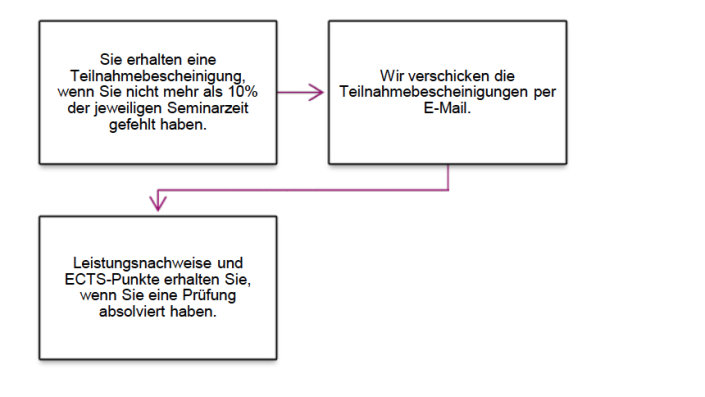 Bescheinigung Kurzdarstellung