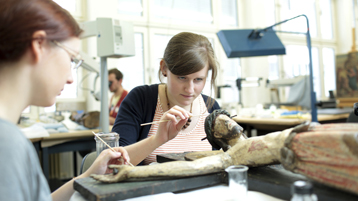 Restauratorinnen bei der Arbeit (Bild: Thilo Schmülgen/TH Köln)