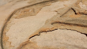 Profilierte und reliefierte Sandsteinoberfläche mit den Schadensphänomenen Schalenbildung und Abschuppen.