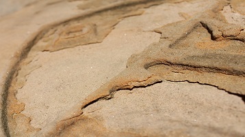 Profilierte und reliefierte Sandsteinoberfläche mit den Schadensphänomenen Schalenbildung und Abschuppen. Profilierte und reliefierte Sandsteinoberfläche mit den Schadensphänomenen Schalenbildung und Abschuppen.