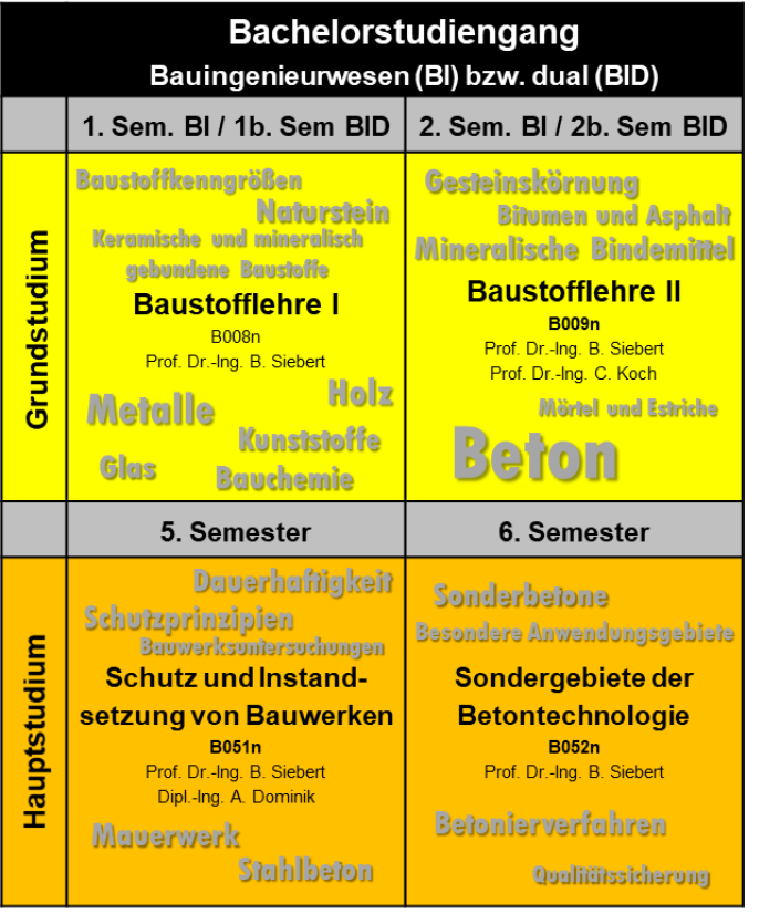 Bachelor-Module