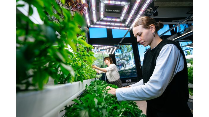 Im Projekt „GreenFarmTEC“ arbeiten die TH Köln und die NourTec Gmb an neuen Technologien für den nachhaltigen und regionalen Anbau von Obst und Gemüse in vertikalen Indoor-Farmanlagen.