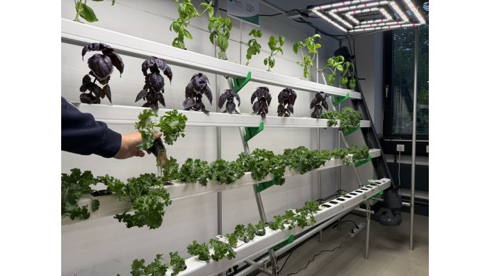 Eine vertikale Farming Anlage, in der verschiedene Pflanzen wachsen.