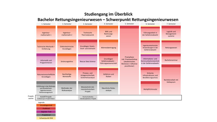 Die Grafik zeigt die Verteilung der Module über sieben Semester