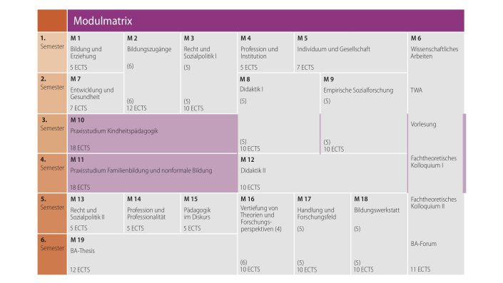 Inhalte des Studiengangs Kindheitspädagogik und Familienbildung