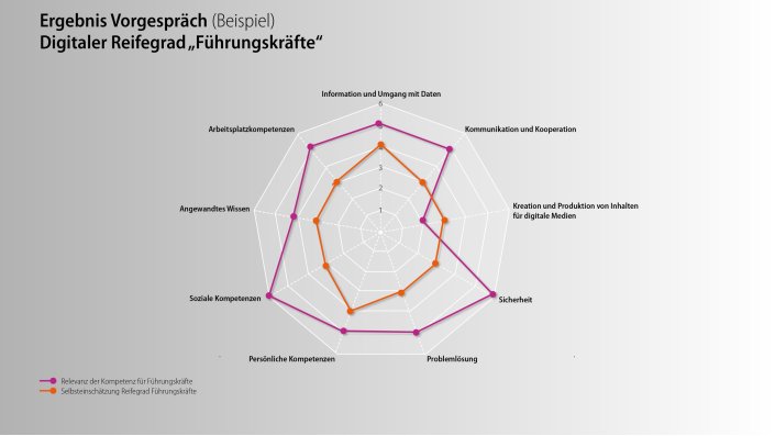 Kompetenzspinnen | Change 4.0 Structure