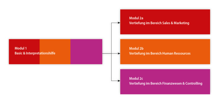 Eine Abbildung zeigt, dass die Module 2a, 2b und 2c als vertiefende Wahlmodule auf das Basismodul folgen.