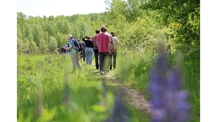Die Gruppe läuft einen Pfad durch die grüne Landschaft entlang.
